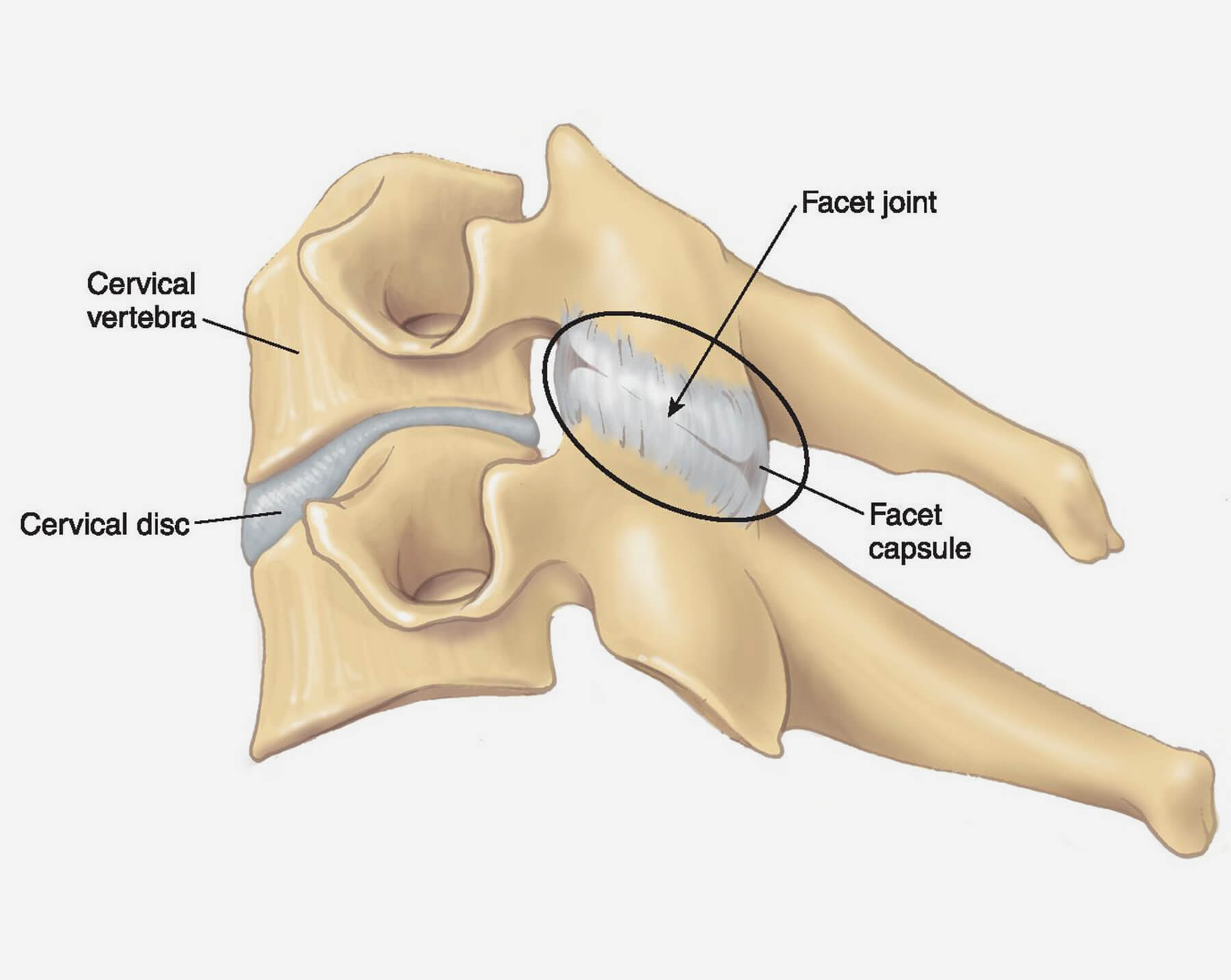 Orthopedic Doctor in Ahmedabad